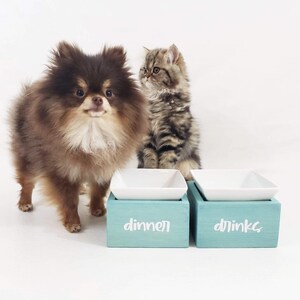 May include: A brown and white Pomeranian dog and a gray and white cat stand in front of two elevated white ceramic pet bowls. The bowls are on wooden stands painted light blue. The stand on the left has the word "dinner" written on it in white. The stand on the right has the word "drinks" written on it in white.