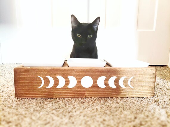 Modern cat feeder clearance