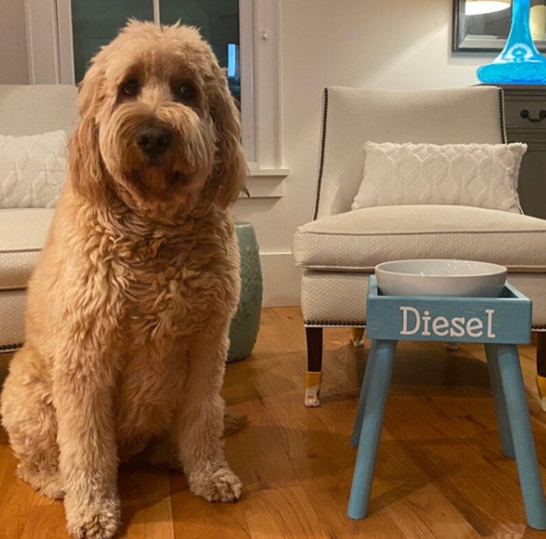 May include: A light blue wooden pet bowl stand with four legs and a white ceramic bowl placed on top. The front of the stand features the name Diesel in white lettering. A golden-colored curly-haired dog sits on the floor next to the stand.