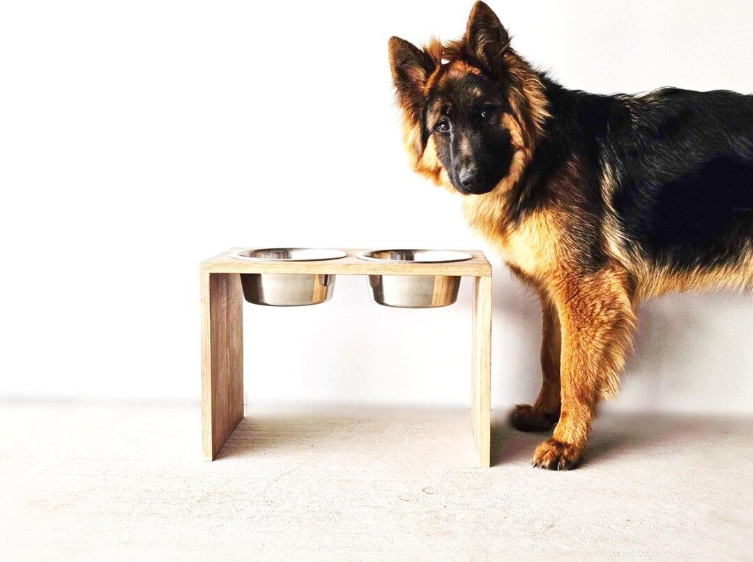 Modern Elevated Stainless Steel Dog Bowl Set Raised Dog Bowl Etsy