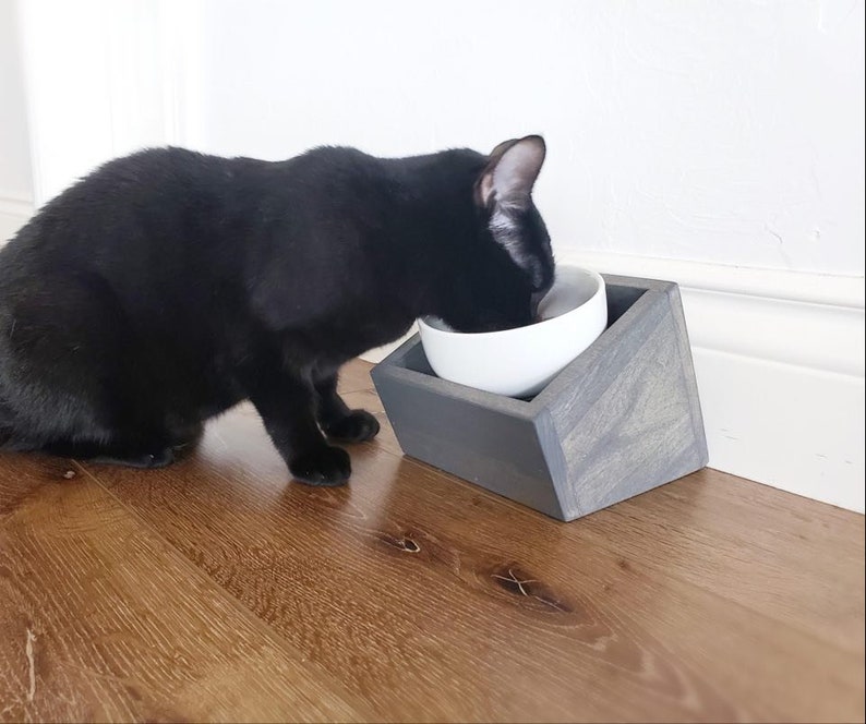 Tilted Cat Bowls Angled Pet Feeder Whister Fatigue Cats Etsy