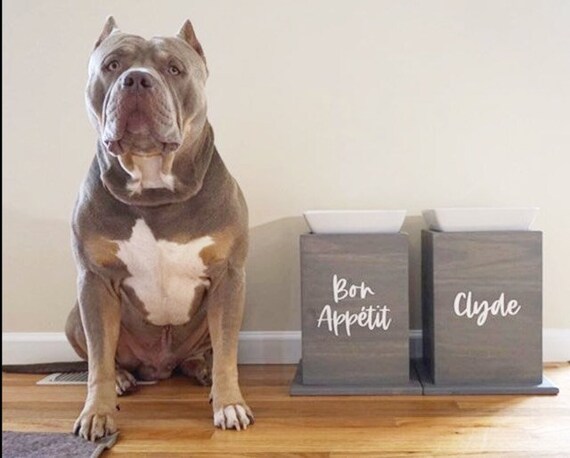 tall dog feeding station