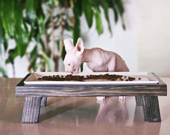 Comedero moderno con plato elevado para gatos
