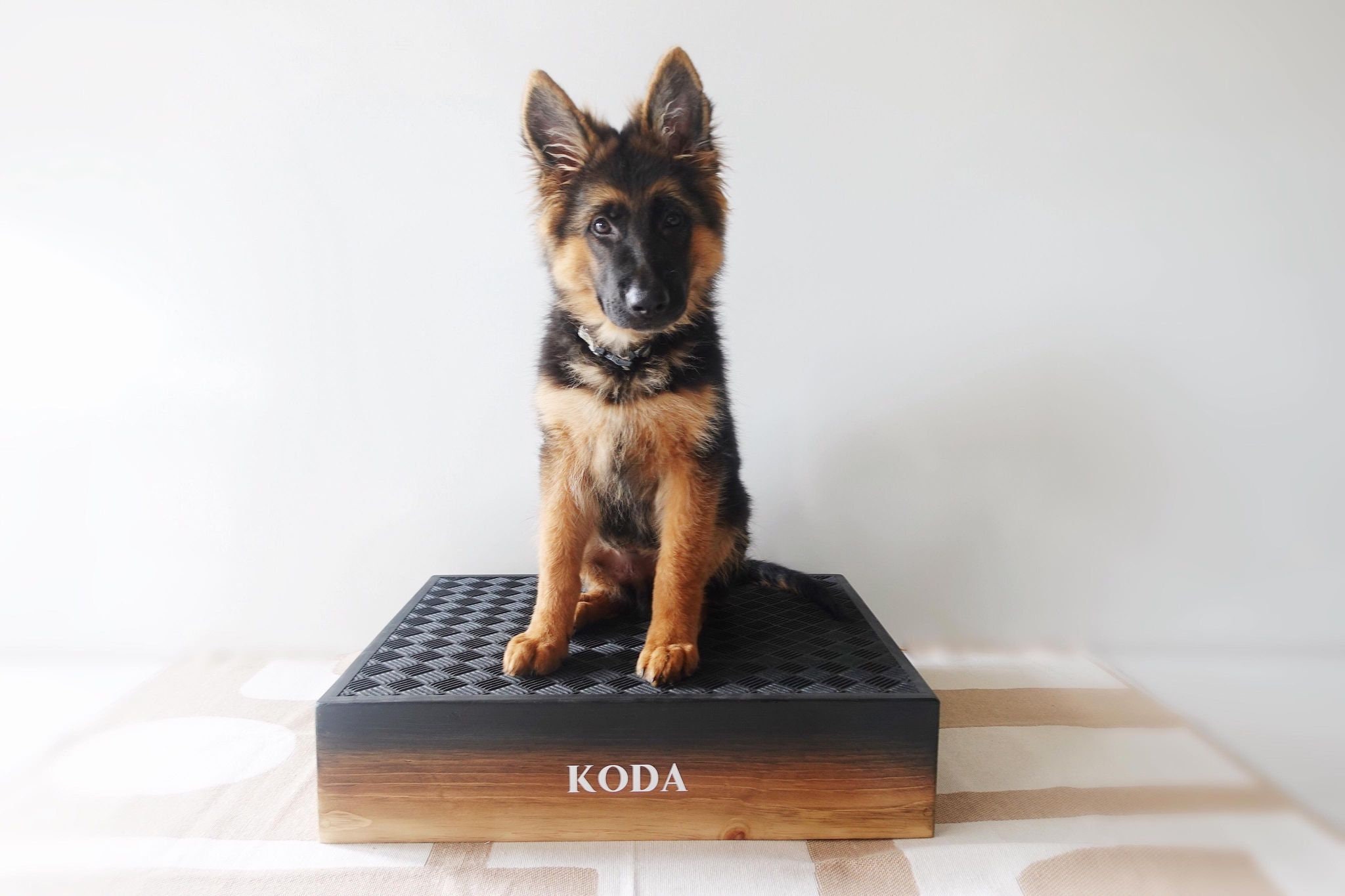 Dog Training Stand Dog Training Platform Dog Agility Obedience Training Dog Trainer Place Box Shaping Box K9 Training K9 Dog Etsy Canada