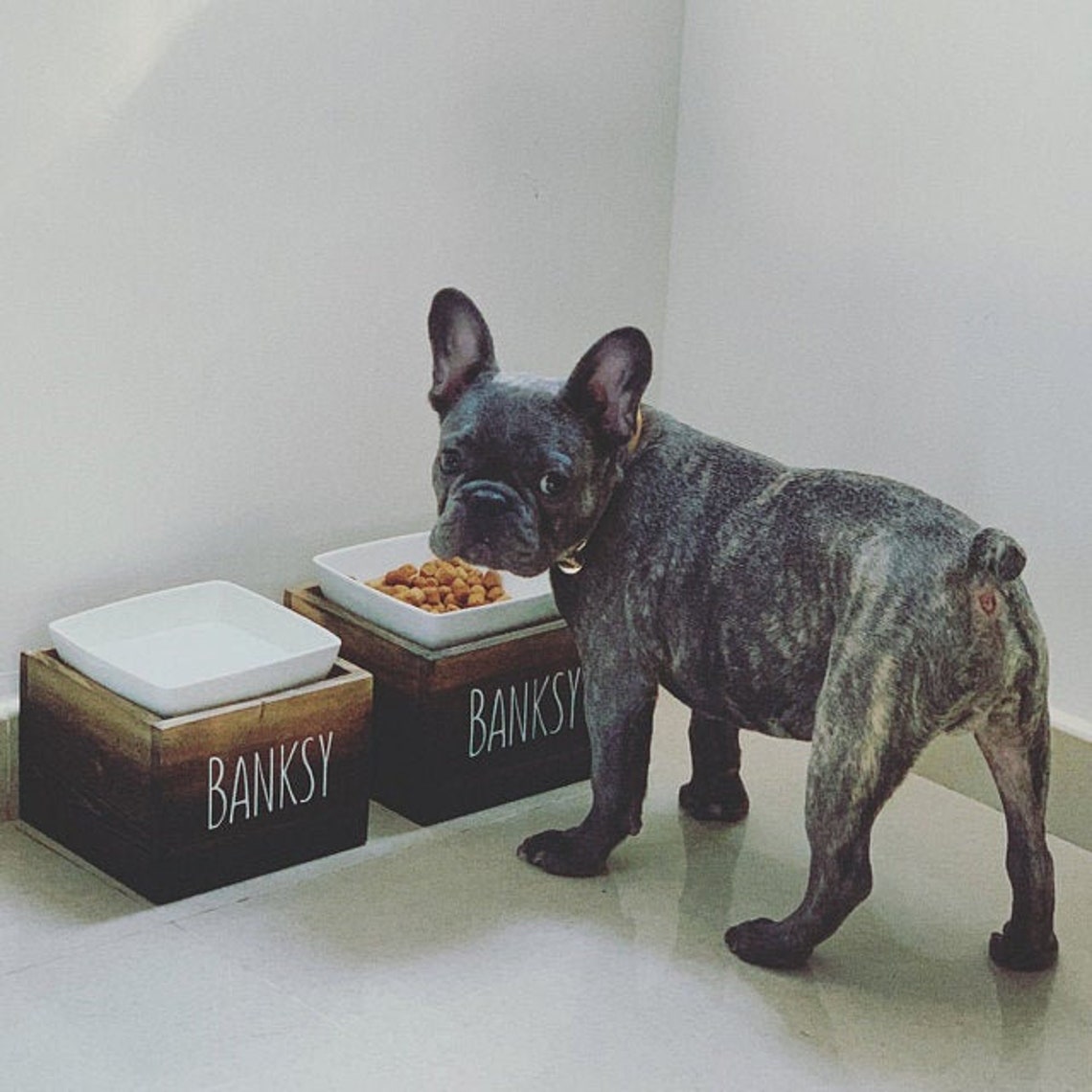 French Bulldog Dog Bowls Frenchie Gift Modern Square Pet Etsy