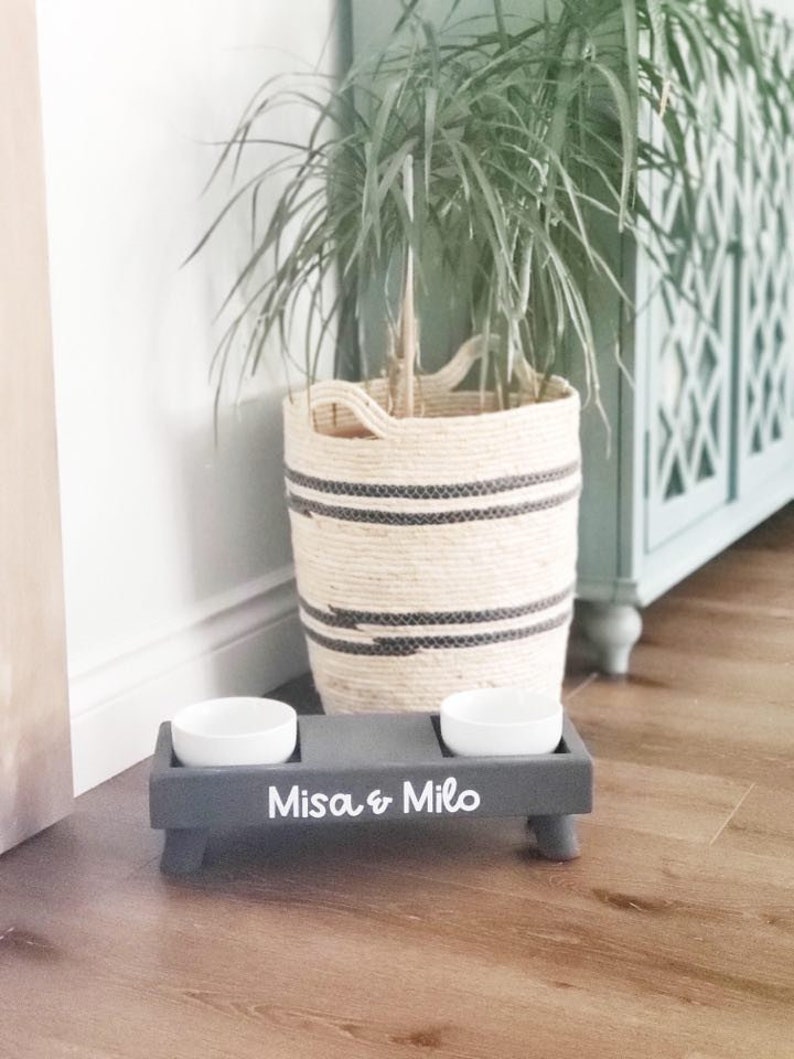 Floppy Eared Dogs Long Ears Dog