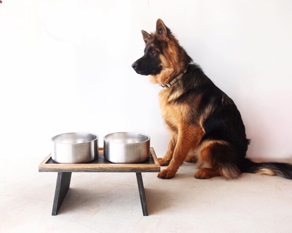 Ergonomic Bowl Stand Elevated Dog Bowl Feeder Raised Dog Feeder Dog Food  Tray Modern Pet Feeder Dog Bowl Riser Senior Pets Gift 