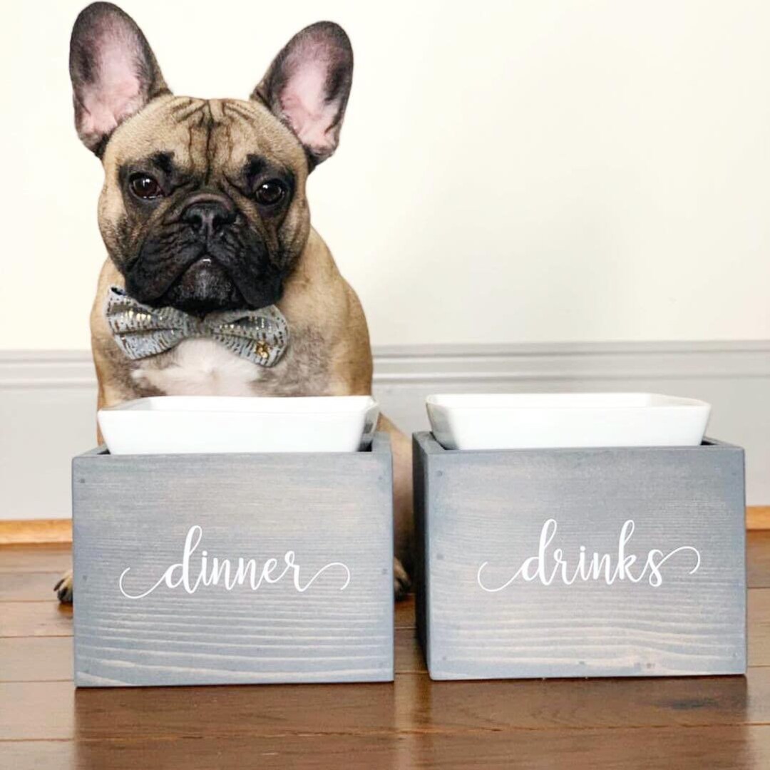 French Bulldog Dog Bowls Frenchie Gift Modern Square Pet Bowls Elevated Dog Feeder Pet Lover Unique Home Decor Modern Urban Etsy UK