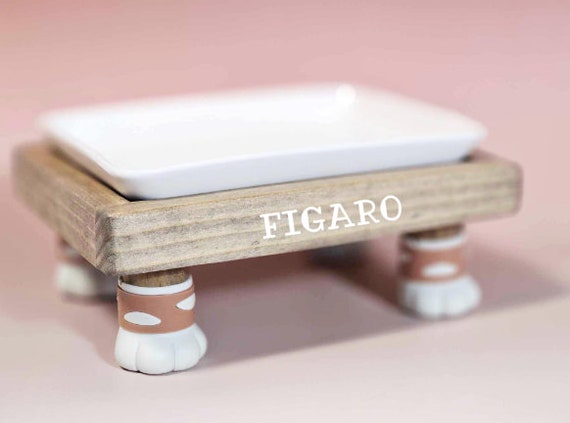 Cat hot sale feeding trough