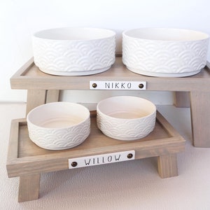 Girl top dog bowl