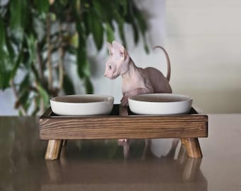 Juego de cuencos modernos para mascotas para perros o gatos