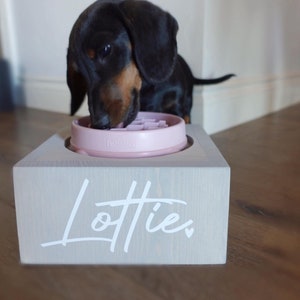May include: A dachshund dog eating from a pink slow feeder bowl, which is sitting on a gray wooden stand with the name "Lottie" written on it.