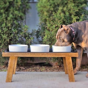 May include: A brown wooden dog food stand with three white ceramic bowls. A brown dog is eating from one of the bowls.