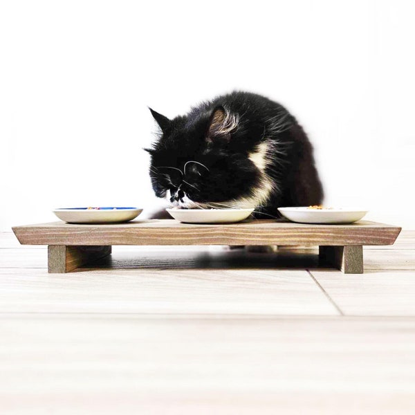 Teacup Dog Bowl Etsy