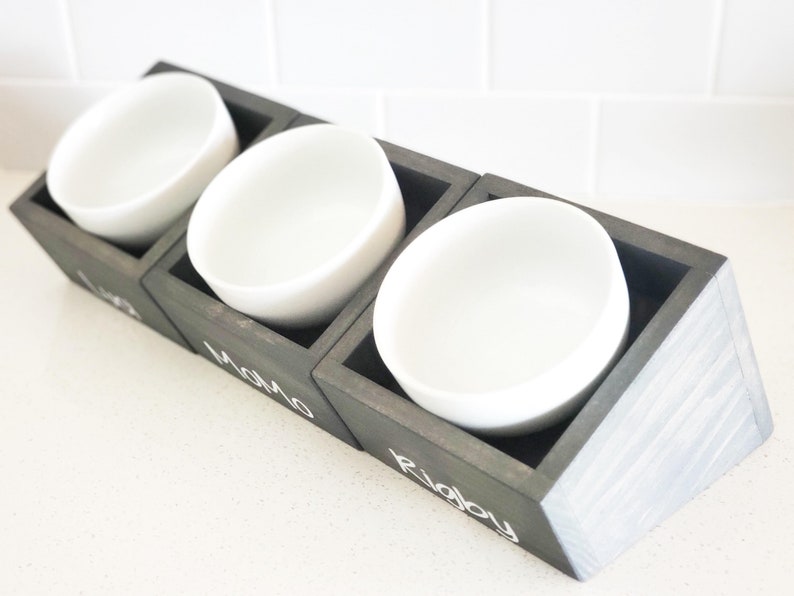 Tilted Cat Bowls Angled Pet Feeder Whister Fatigue Cats Etsy