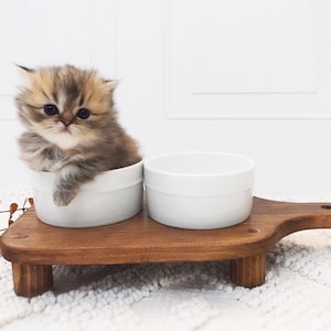May include: A brown wooden serving tray with two white ceramic bowls. A small, brown and white kitten sits in one of the bowls.