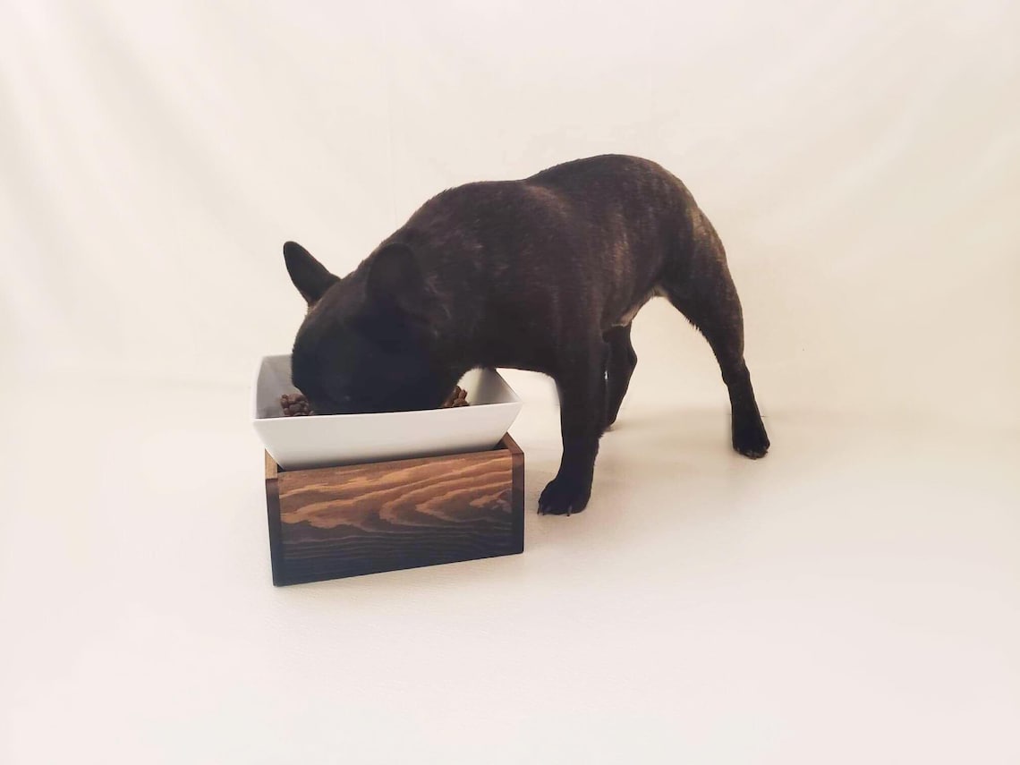 elevated dog feeder for french bulldog elevated dog feeder for french bulldog