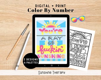 Sweary Sunshine Digital Coloring Kit for Procreate | 2 Sarcastic Sunshine Designs | PNG, Printable, Procreate Files | Funny Self-Care