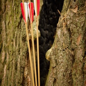 Archery Arrows With Plastic Knock / Wooden Arrows / Training - Etsy
