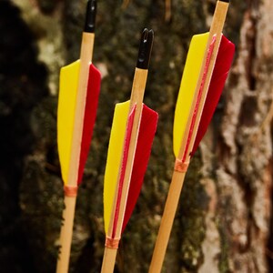 Archery Arrows With Plastic Knock / Wooden Arrows / Training - Etsy