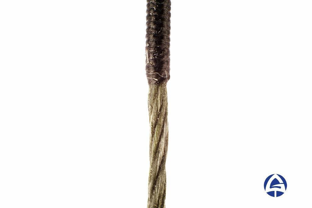 Corde pour arc Fast Flight DynaFlight 97 Corde pour arc Fast Flight Corde pour arc Dynaflight Corde pour arc classique Corde pour arc long Corde pour arc plat - Canada