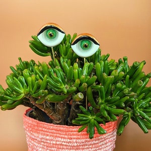 Sultry plant eyes plant accessory plant decor support stake image 2