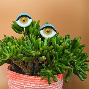 Sultry plant eyes plant accessory plant decor support stake image 4