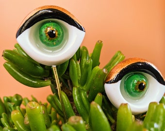 Sultry plant eyes | plant accessory | plant decor | support stake