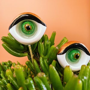 Sultry plant eyes | plant accessory | plant decor | support stake