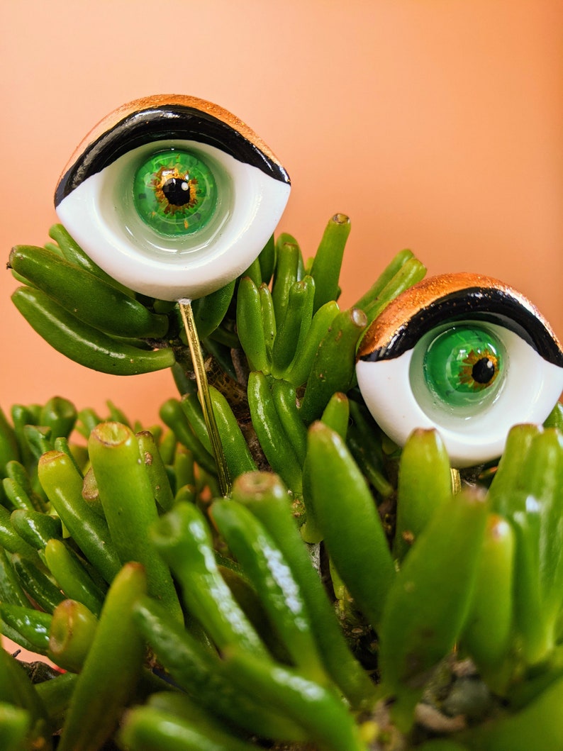 Sultry plant eyes plant accessory plant decor support stake image 1