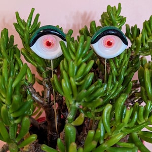 Sultry plant eyes plant accessory plant decor support stake image 10