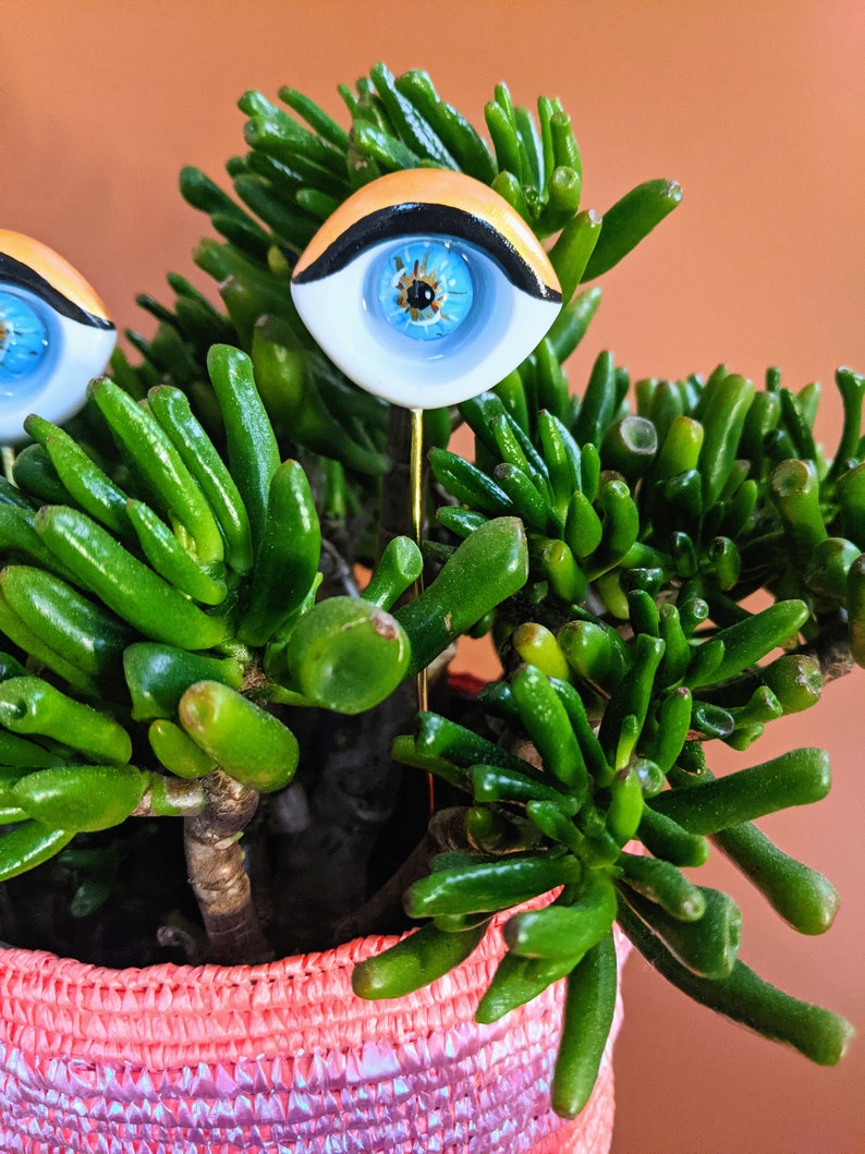 Sultry plant eyes plant accessory plant decor support stake image 9