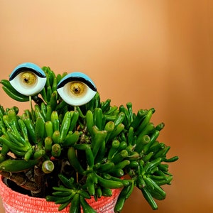 Sultry plant eyes plant accessory plant decor support stake image 5