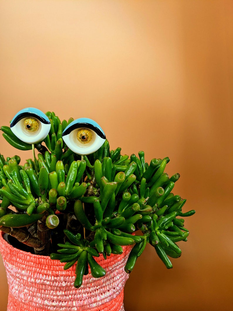 Sultry plant eyes plant accessory plant decor support stake image 5