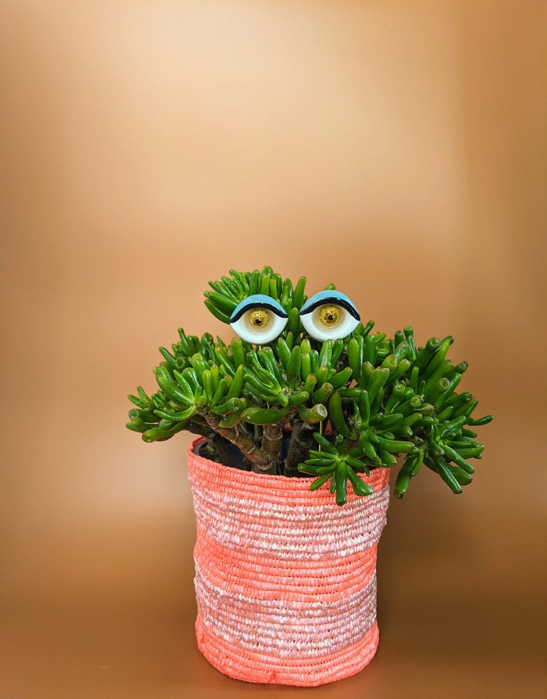 Sultry plant eyes plant accessory plant decor support stake image 7