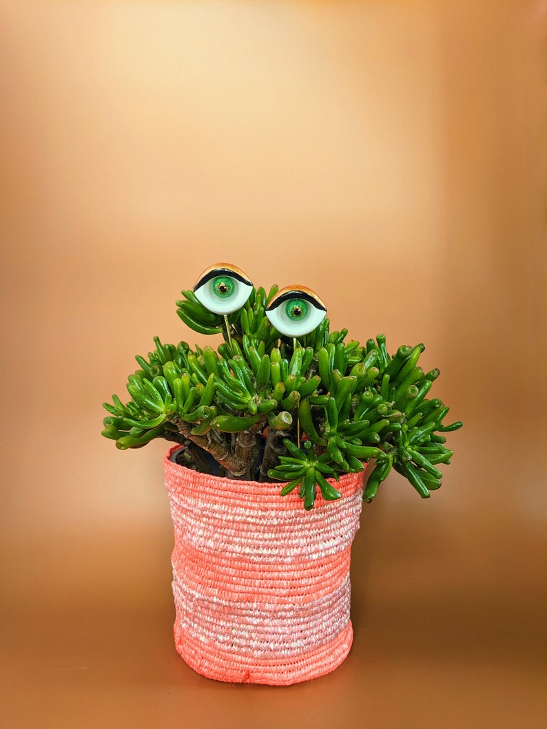 Sultry plant eyes plant accessory plant decor support stake image 2