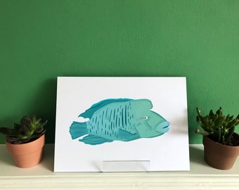 Humphead Wrasse / Napoleon Fish Illustrated Art Print A5 / A4 - Etsy