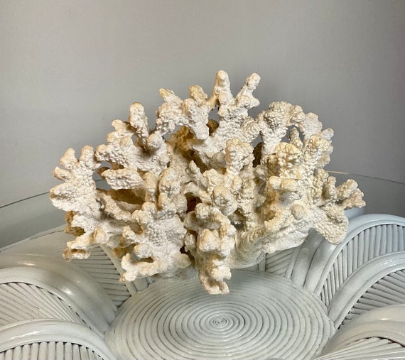 Large Natural Decorative Faux Coral Reef Table Decor, Center Piece