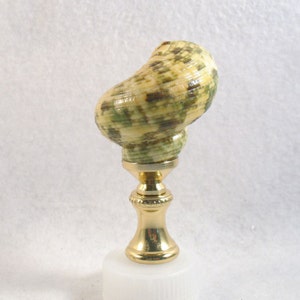 May include: A green and yellow seashell lamp finial with a gold metal base. The seashell is mounted on a round, gold metal base with a decorative design.