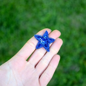 May include: A blue sequined star-shaped patch.