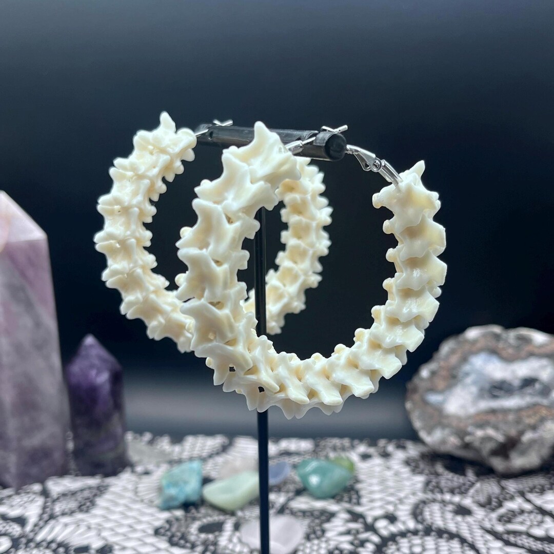 Real Bone Oddities XL Ball Python Vertebrae Earrings 50mm Stainless ...