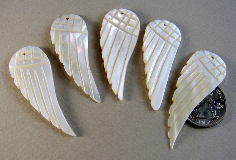 Wing Shape Hole:Approx 1mm, PND-A043 SALE 15/% OFF Natural White Shell Pendants 19x52x2mm