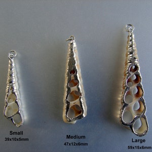 SALE. Natural Trumpet Shell Pendants, with Brass, silver, gold color plated. All sizes indicated on pictures image 3