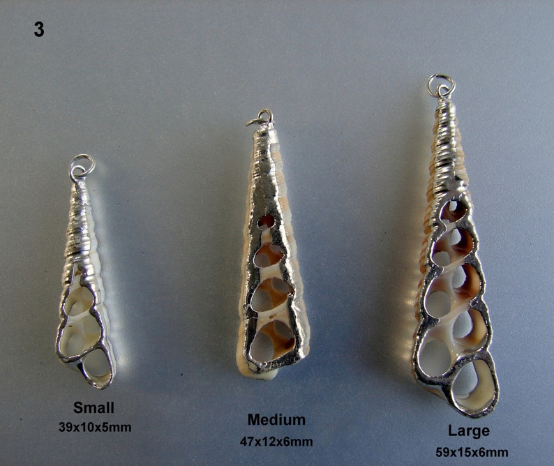 SALE. Natural Trumpet Shell Pendants, with Brass, silver, gold color plated. All sizes indicated on pictures image 3