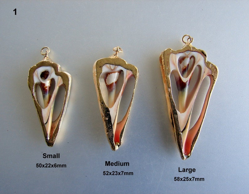 May include: Three gold-plated seashell pendants in different sizes. The shells are white with brown and red markings. The pendants are labeled "Small 50x22x6mm", "Medium 52x23x7mm", and "Large 58x25x7mm".