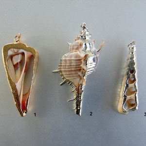 SALE. Natural Trumpet Shell Pendants, with Brass, silver,  gold color plated. All sizes indicated on pictures