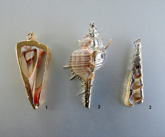 SALE. Natural Trumpet Shell Pendants, with Brass, silver,  gold color plated. All sizes indicated on pictures