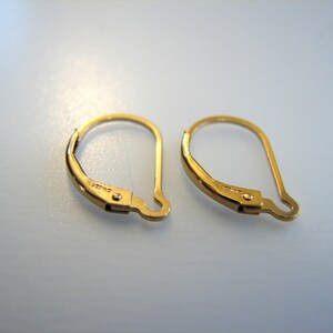 May include: A pair of gold-toned earring hooks. The hooks are made of metal and have a spring-loaded closure. The hooks are approximately 2.5 cm long.