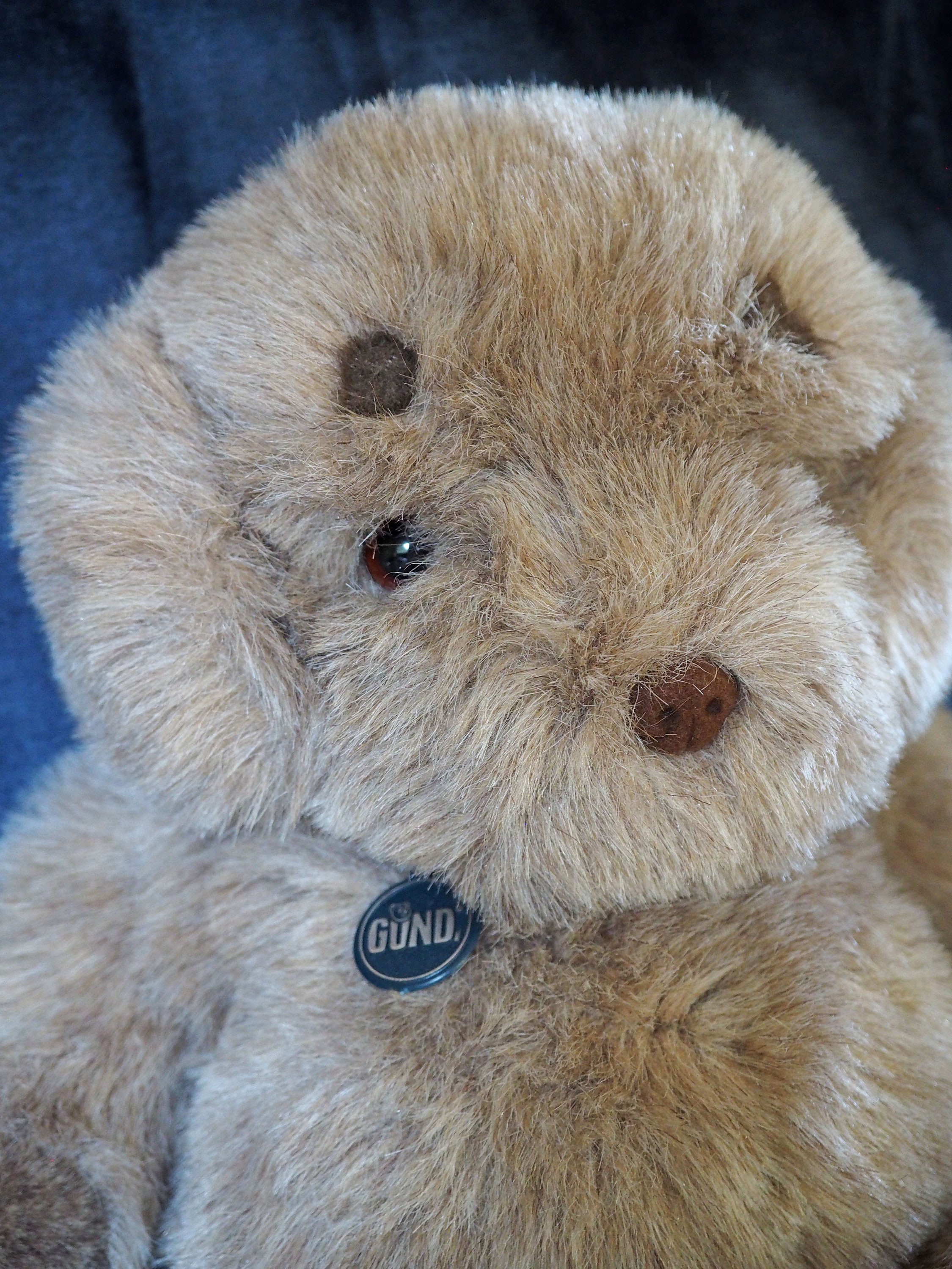 1985 Gund Bear Etsy