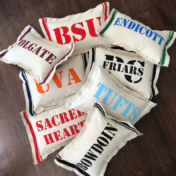 College Pillows